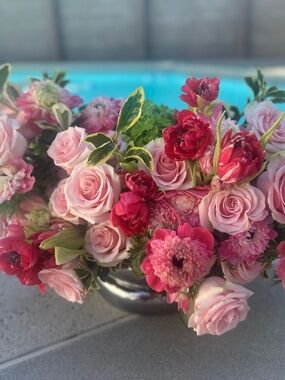 Meet your Posher, Lilush